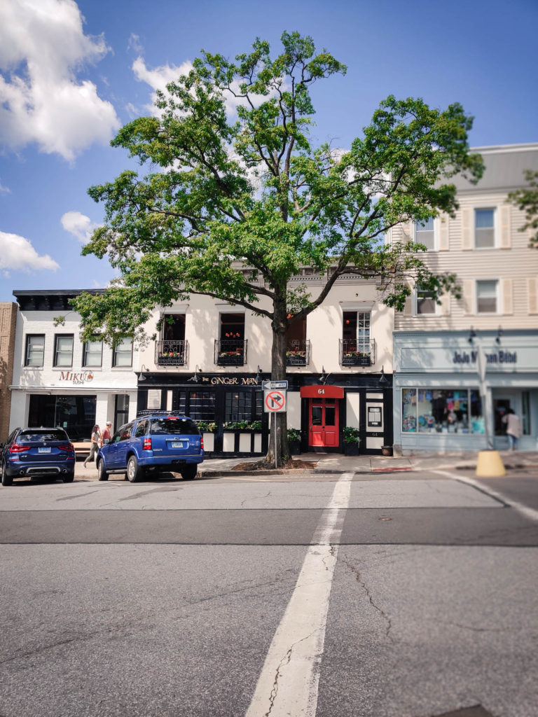 What's Your Opinion? Greenwich Avenue Streetscape Website