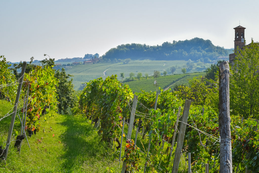 Visit Italy's Wine Villages: Barolo Wine Region