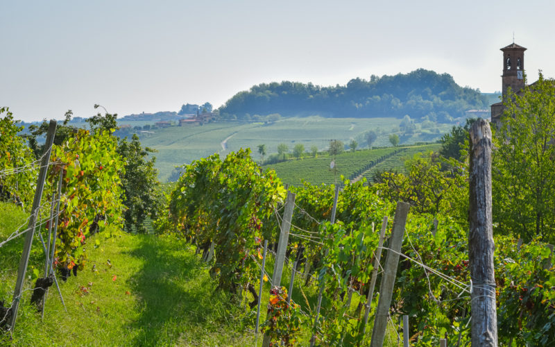 Visit Italy's Wine Villages: Barolo Wine Region A Day Trip to Langhe, Piemonte: An Alternative to Tuscany