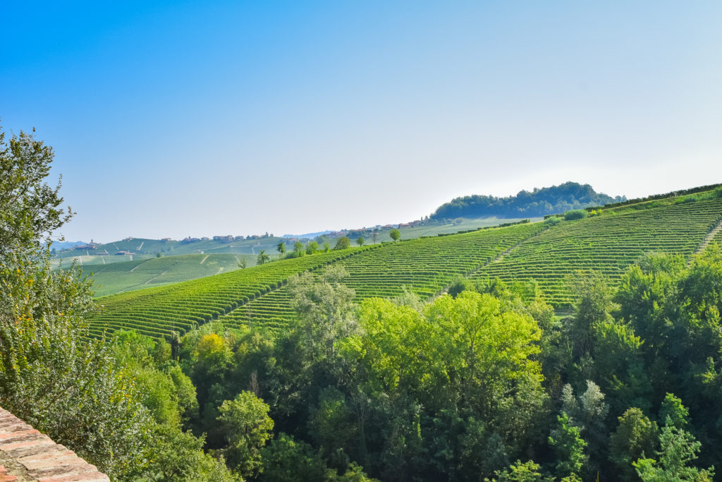 Visit Italy's Wine Villages: Barolo Wine Region
