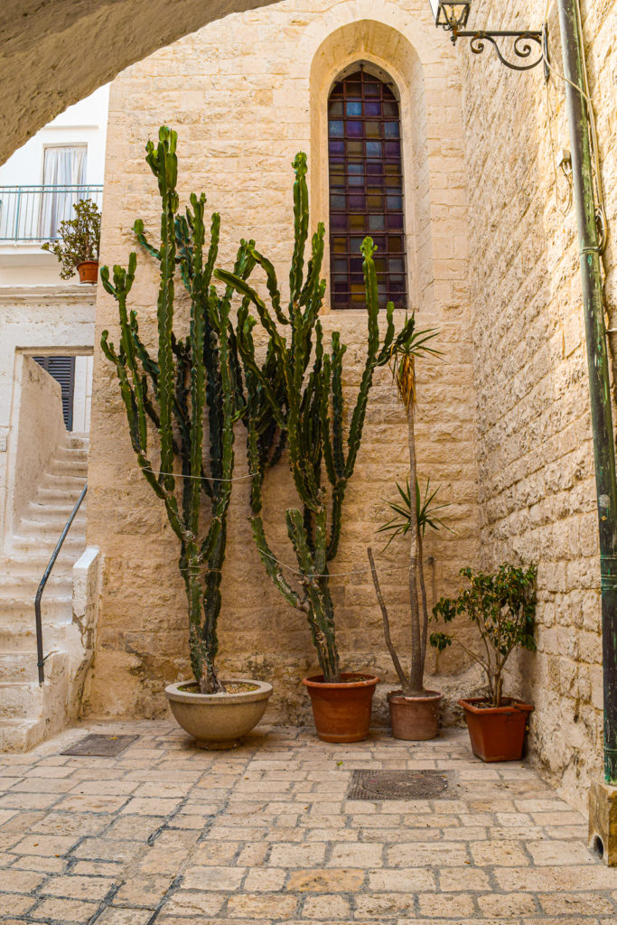 Essential Travel Guide to Polignano a Mare, Italy puglia svadore