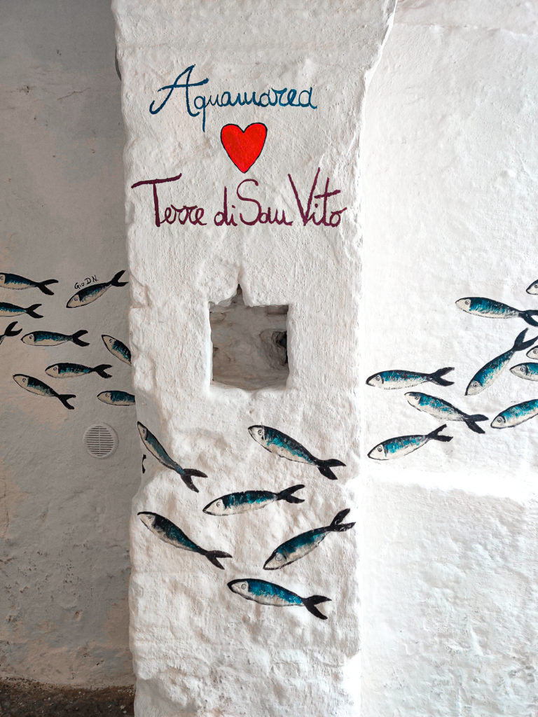 Essential Travel Guide to Polignano a Mare, Italy puglia svadore