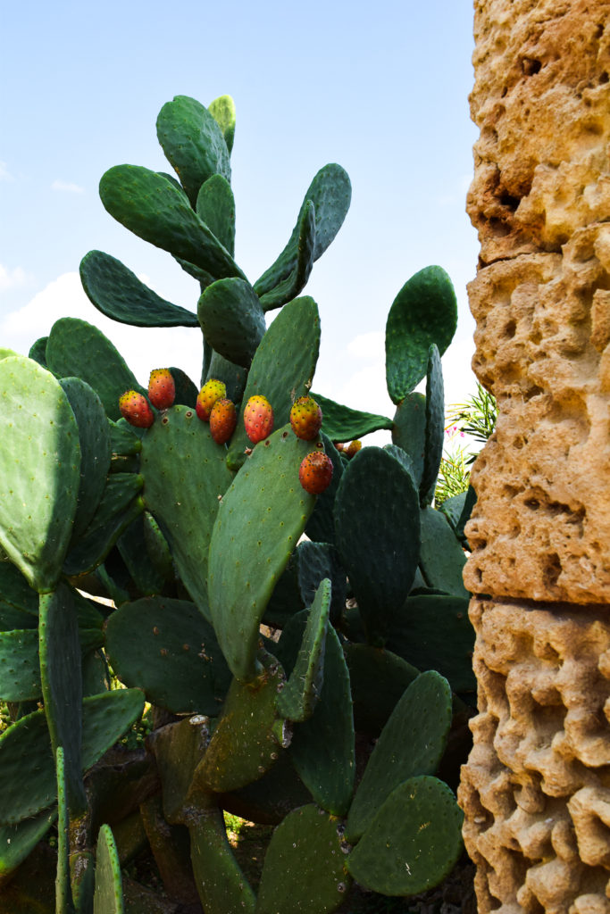 Book Art Resort Masseria Bernardini in Salento All for Yourself boutique hotel bed and breakfast puglia nardo' lecce bari center best position where to stay near buyout villa rental group asian