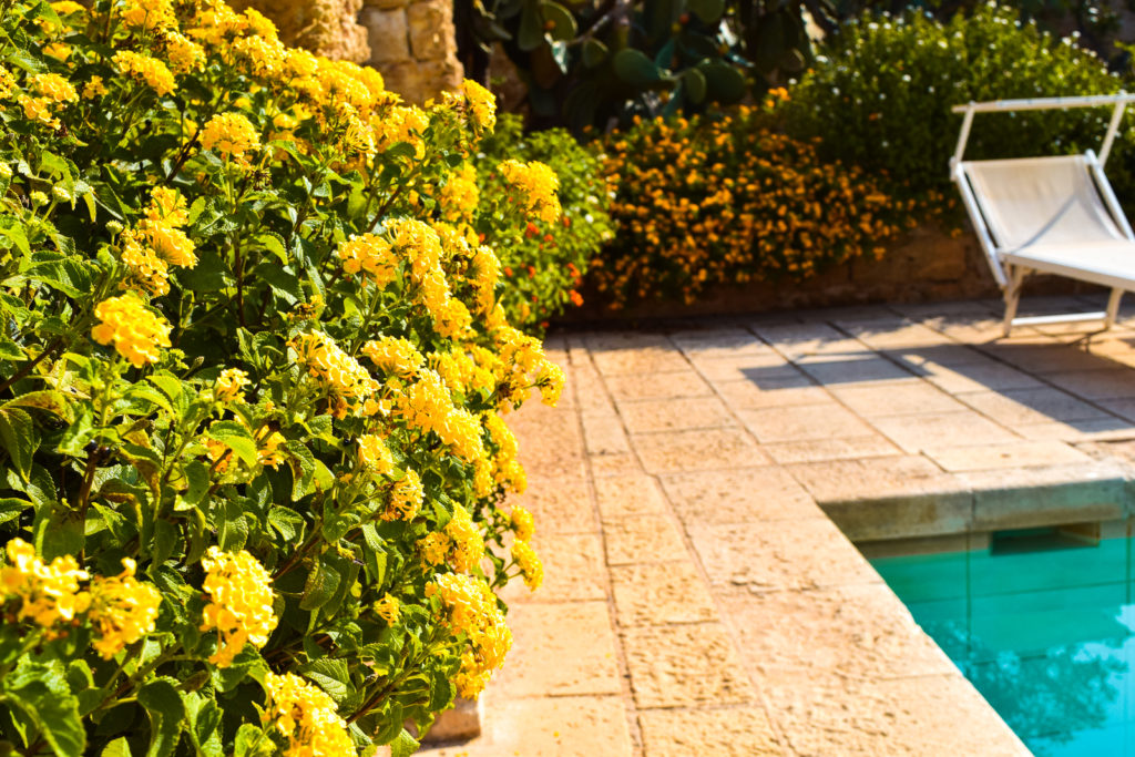 Book Art Resort Masseria Bernardini in Salento All for Yourself boutique hotel bed and breakfast puglia nardo' lecce bari center best position where to stay near buyout villa rental group asian