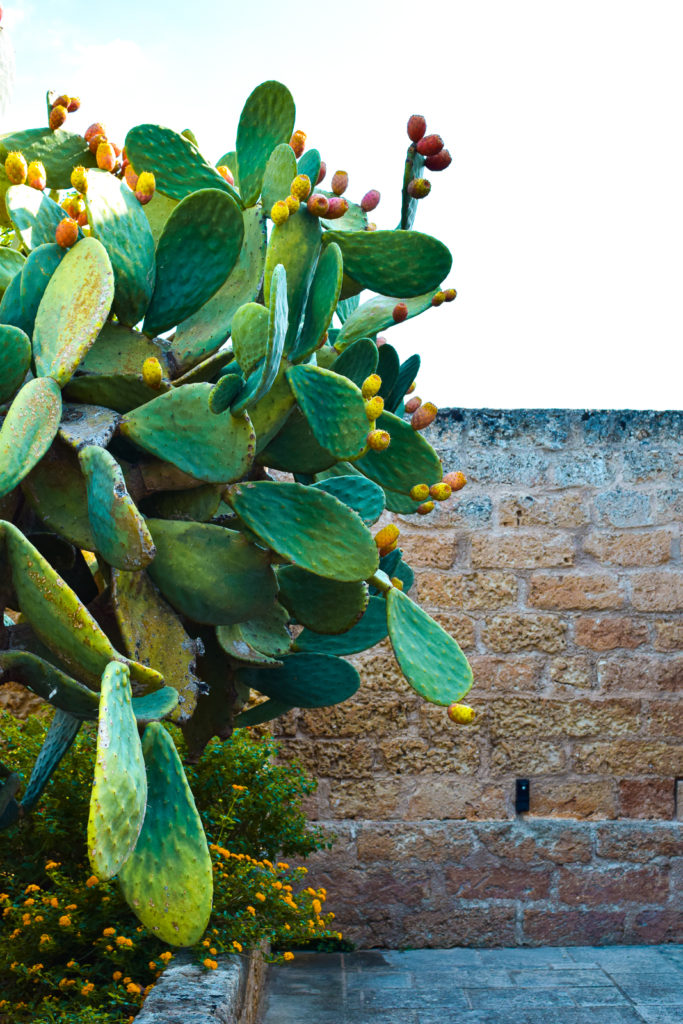 Book Art Resort Masseria Bernardini in Salento All for Yourself boutique hotel bed and breakfast puglia nardo' lecce bari center best position where to stay near buyout villa rental group asian