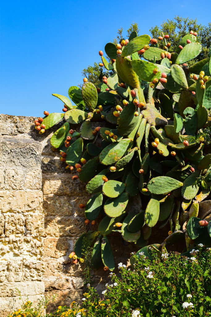Book Art Resort Masseria Bernardini in Salento All for Yourself boutique hotel bed and breakfast puglia nardo' lecce bari center best position where to stay near buyout villa rental group asian