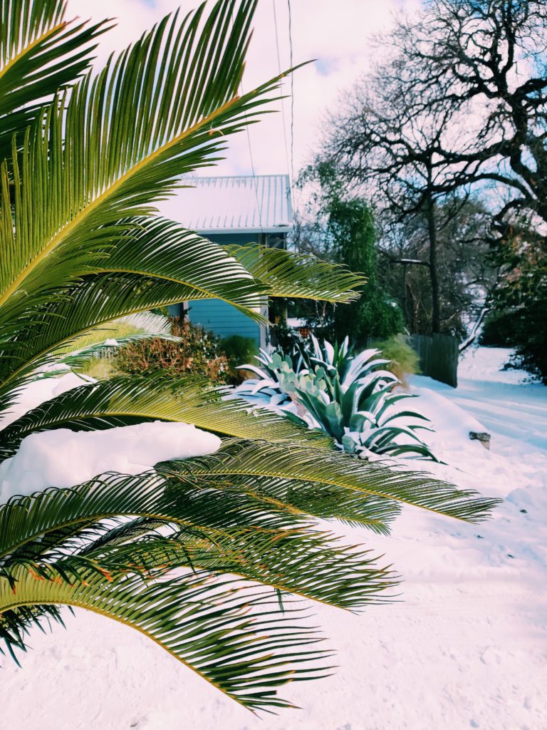 I Visited Austin during Texas Snow Storm Uri. Here's What Happened...