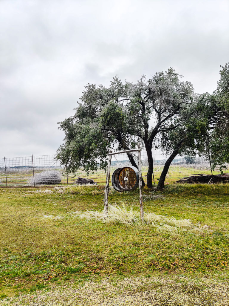 What Locals Do in Austin, TX: The Wayback's Guide texas hill country