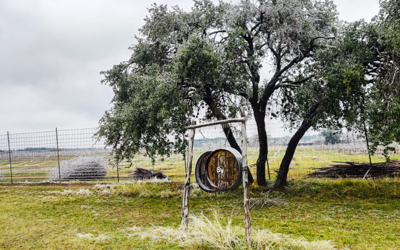 What Locals Do in Austin, TX: The Wayback's Guide texas hill country One Day in Texas Hill Country: Wineries & BBQ spicewood vineyards