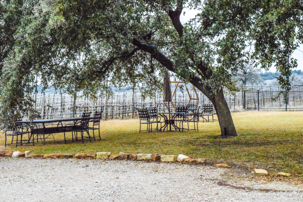 One Day in Texas Hill Country: Wineries & BBQ spicewood vineyards