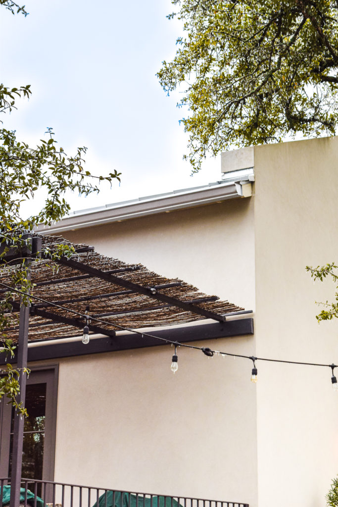 What Locals Do in Austin, TX: The Wayback's Guide texas hill country