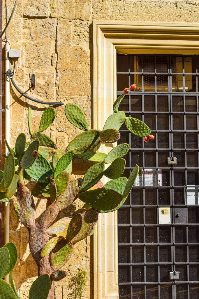 Patria Palace: Luxury Hotel in Lecce, Puglia salento where to stay 5-star hotel restaurant terrace basilica view continental breakfast review travel guide svadore sveva marcangeli