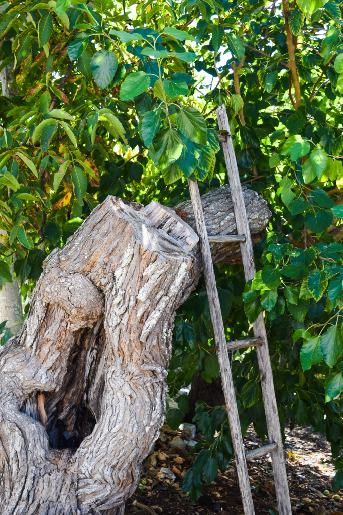 Trullo a ll’éra: Stay In A Trullo In Puglia, Italy where to stay in itria valley alberobello ceglie messapica svadore travel blog guide