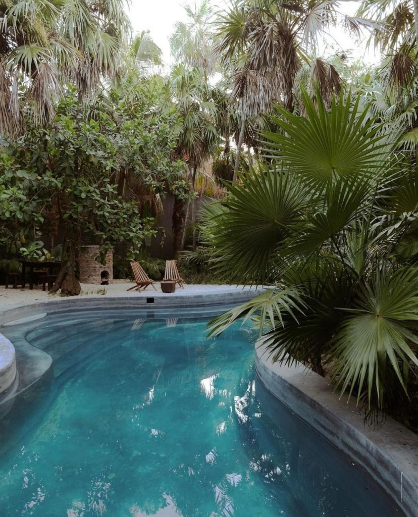 Tulum Treehouse Restaurant: A Speakeasy Dinner Experience