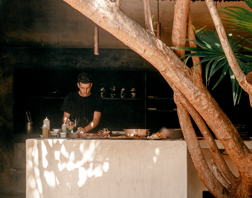 Tulum Treehouse Restaurant: A Speakeasy Dinner Experience
