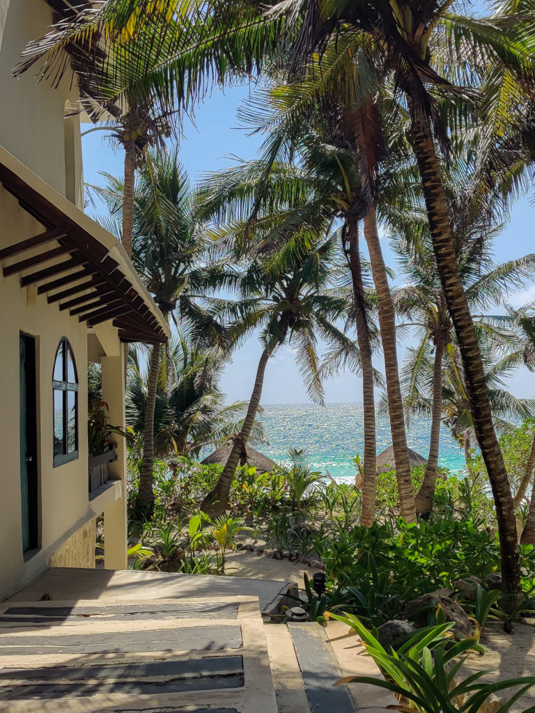 3 Days in Tulum: A Relaxing Itinerary tulum beach road jungle