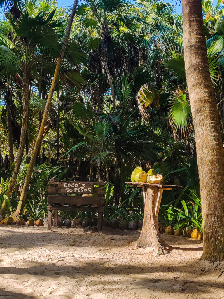 3 Days in Tulum: A Relaxing Itinerary