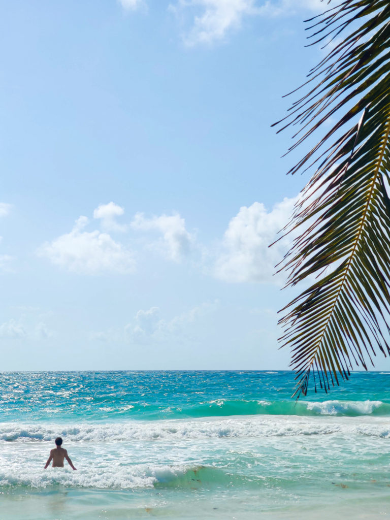 3 Days in Tulum: A Relaxing Itinerary tulum beach road jungle