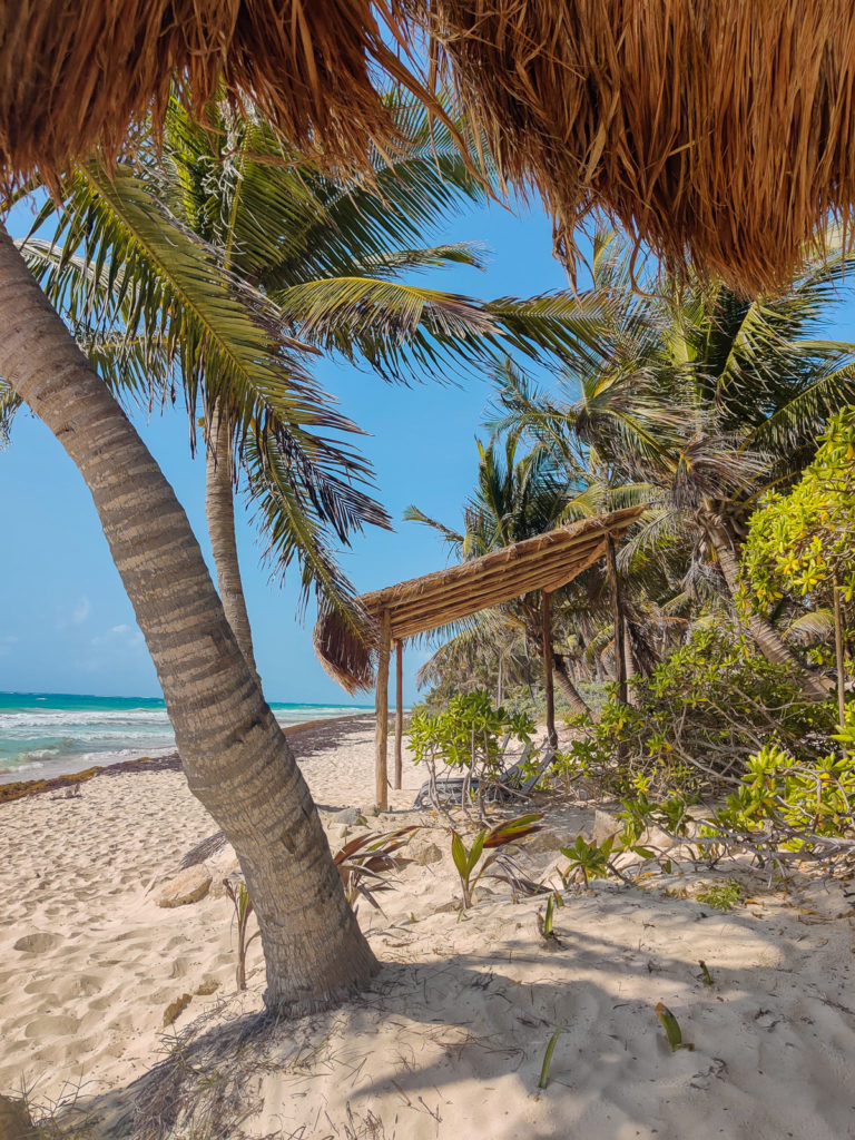 3 Days in Tulum: A Relaxing Itinerary tulum beach road jungle