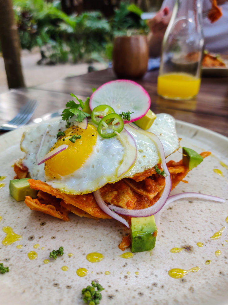 3 Days in Tulum: A Relaxing Itinerary tulum beach road jungle