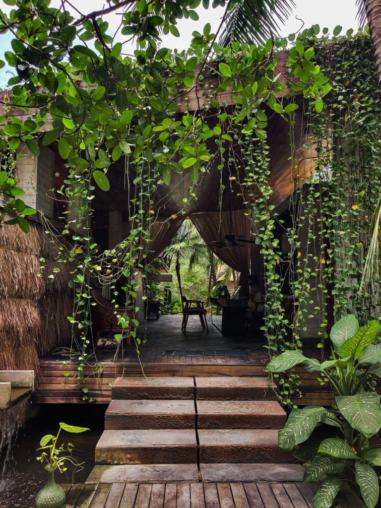 3 Days in Tulum: A Relaxing Itinerary tulum beach road jungle