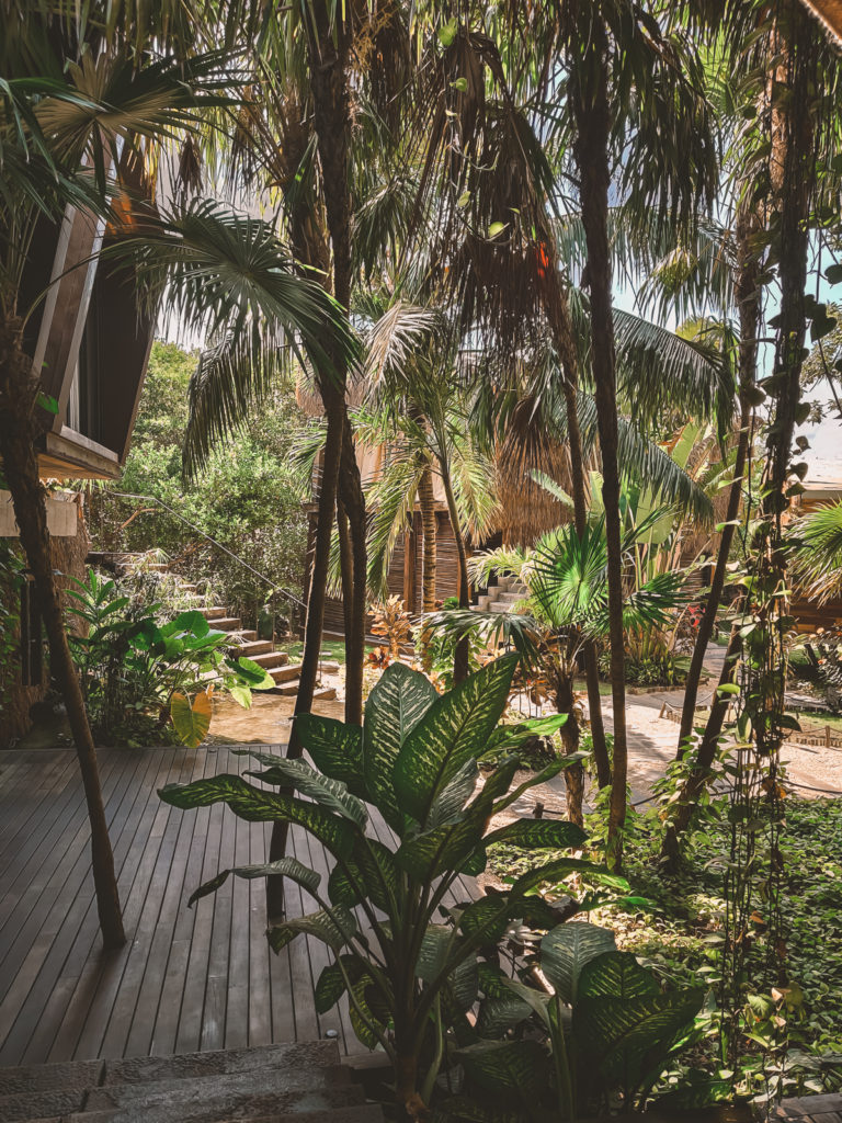 3 Days in Tulum: A Relaxing Itinerary tulum beach road jungle