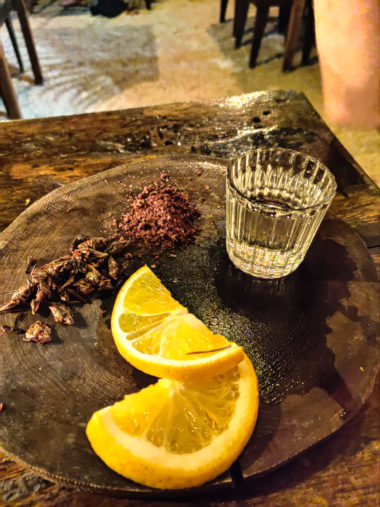 My First-Time Eating Chapulines: What to Know grasshoppers tulum mexico