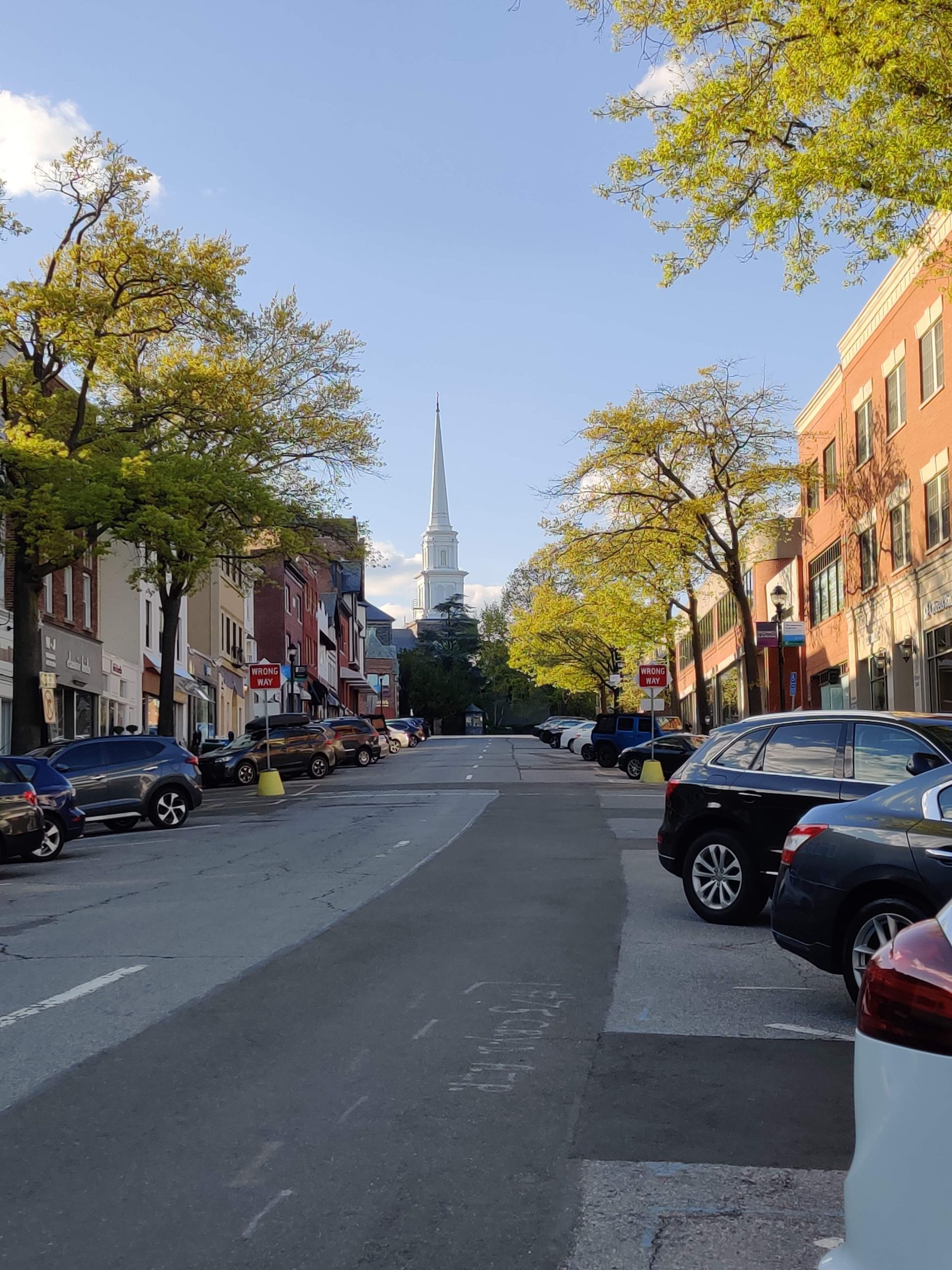 Downtown Greenwich, CT, Shopping District: Top 21 Most Unique