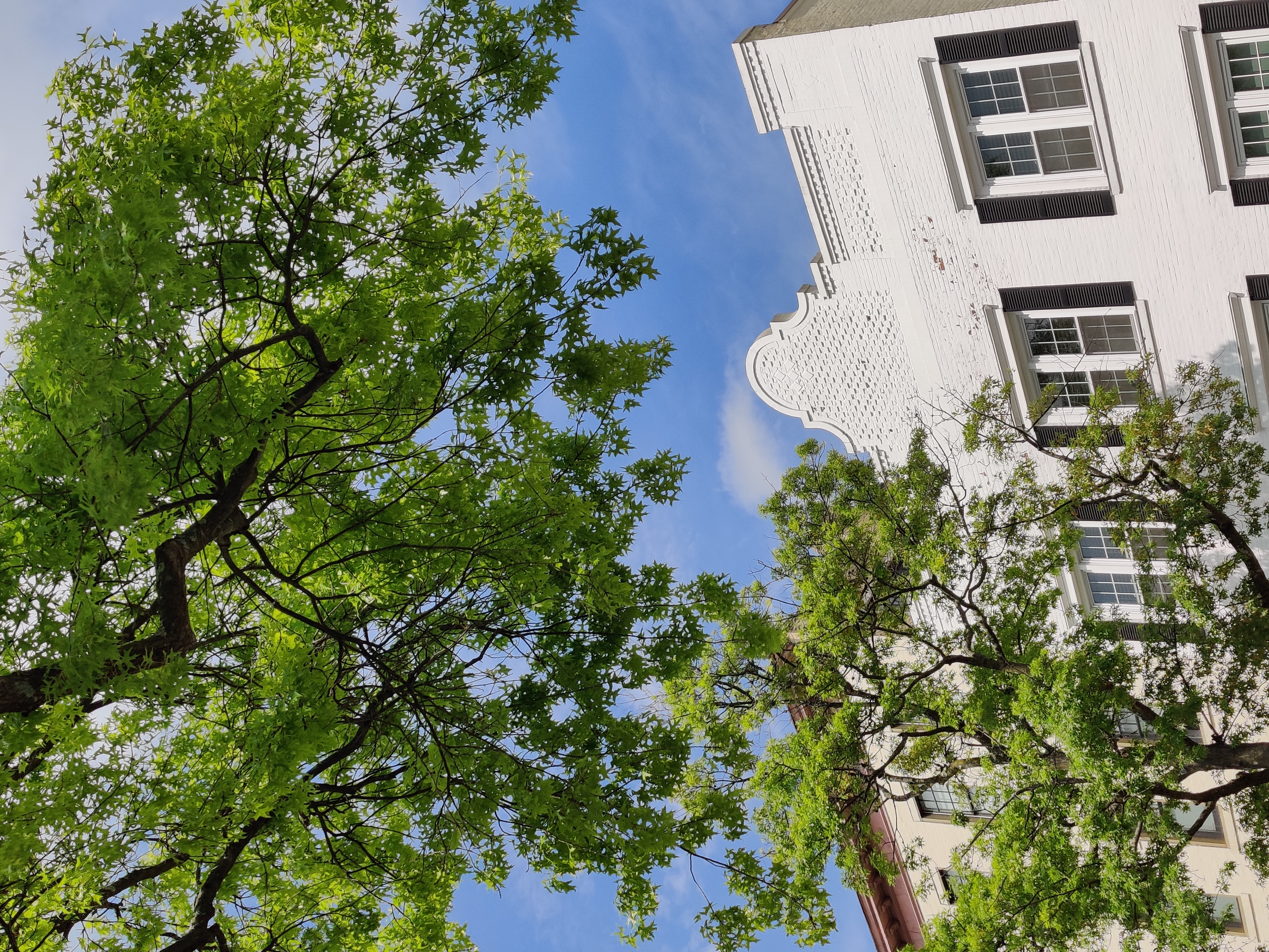 In Pictures: The Towns, Beaches & Nuances of Greenwich, CT In Pictures: The Towns, Beaches & Nuances of Greenwich, CT