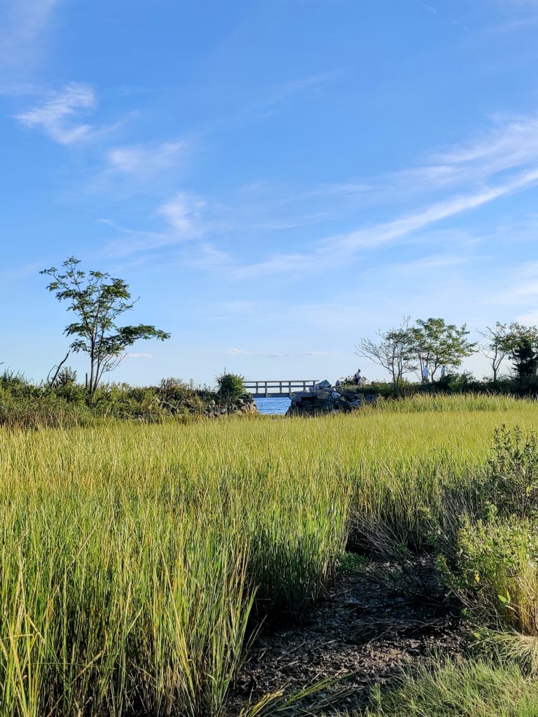 In Pictures: The Towns, Beaches & Nuances of Greenwich, CT In Pictures: The Towns, Beaches & Nuances of Greenwich, CT