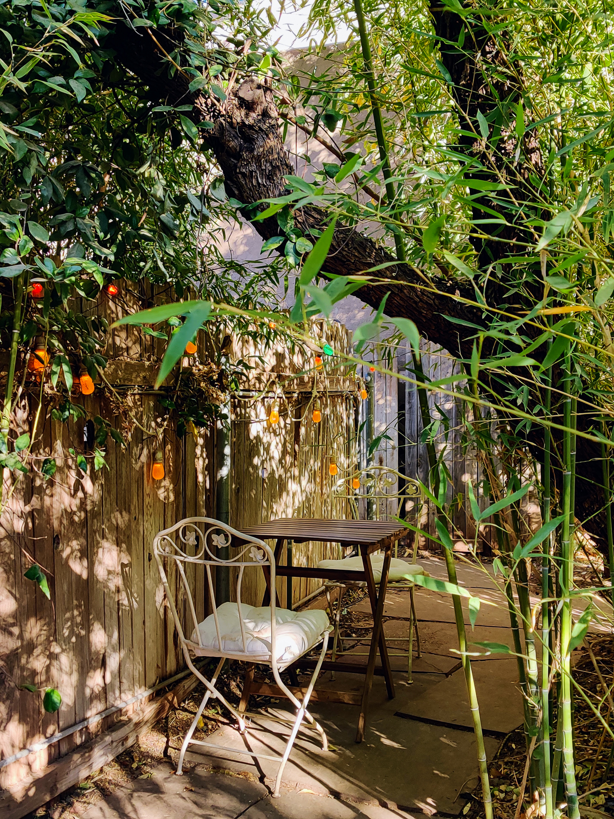 Why You Should Eat At Chocolatree in Sedona garden sanctuary vegan food Why You Should Eat At Chocolatree in Sedona garden sanctuary vegan food