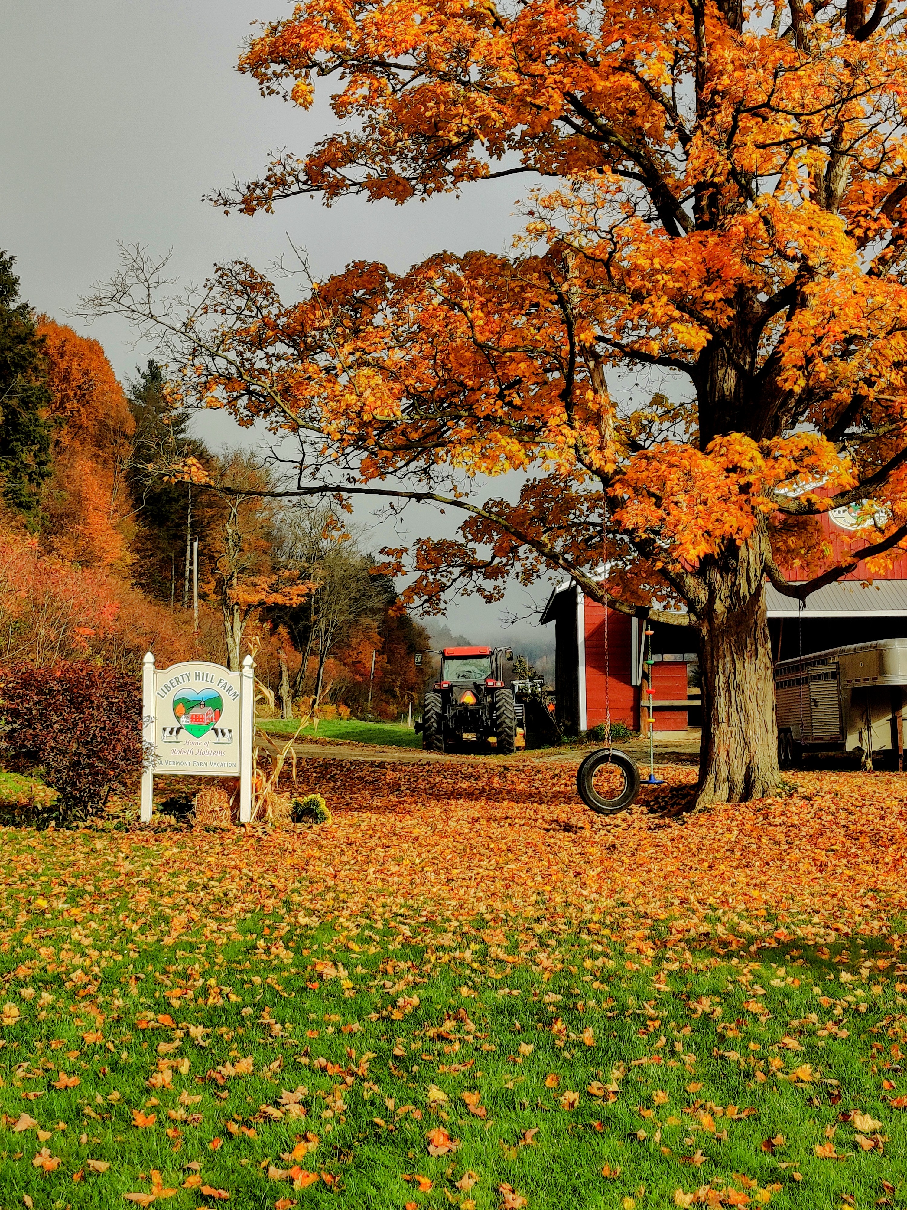Vermont Farm Bed & Breakfast: Liberty Hill Farm & Inn in Rochester, VT Vermont Farm Bed & Breakfast: Liberty Hill Farm & Inn in Rochester, VT