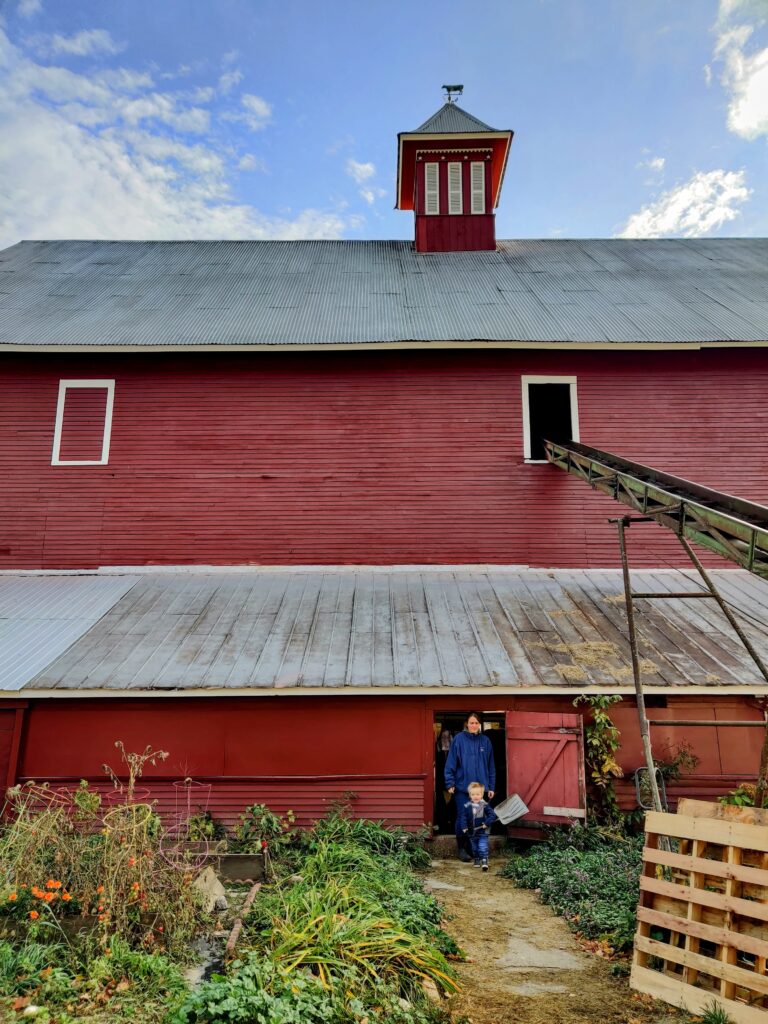 Vermont Farm Bed & Breakfast: Liberty Hill Farm & Inn in Rochester, VT Vermont Farm Bed & Breakfast: Liberty Hill Farm & Inn in Rochester, VT