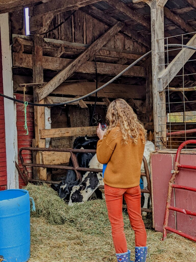 Vermont Farm Bed & Breakfast: Liberty Hill Farm & Inn in Rochester, VT Vermont Farm Bed & Breakfast: Liberty Hill Farm & Inn in Rochester, VT