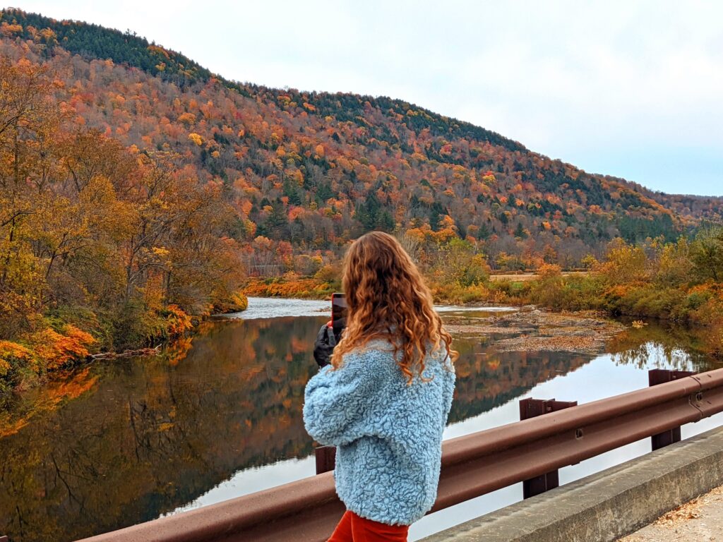 Vermont Farm Bed & Breakfast: Liberty Hill Farm & Inn in Rochester, VT
