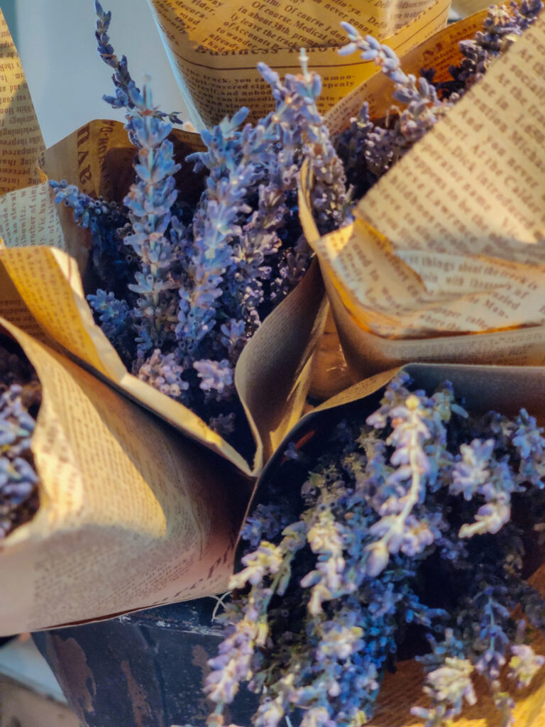 A Weekend in Rhode Island: Newport & Farm Coast Guide