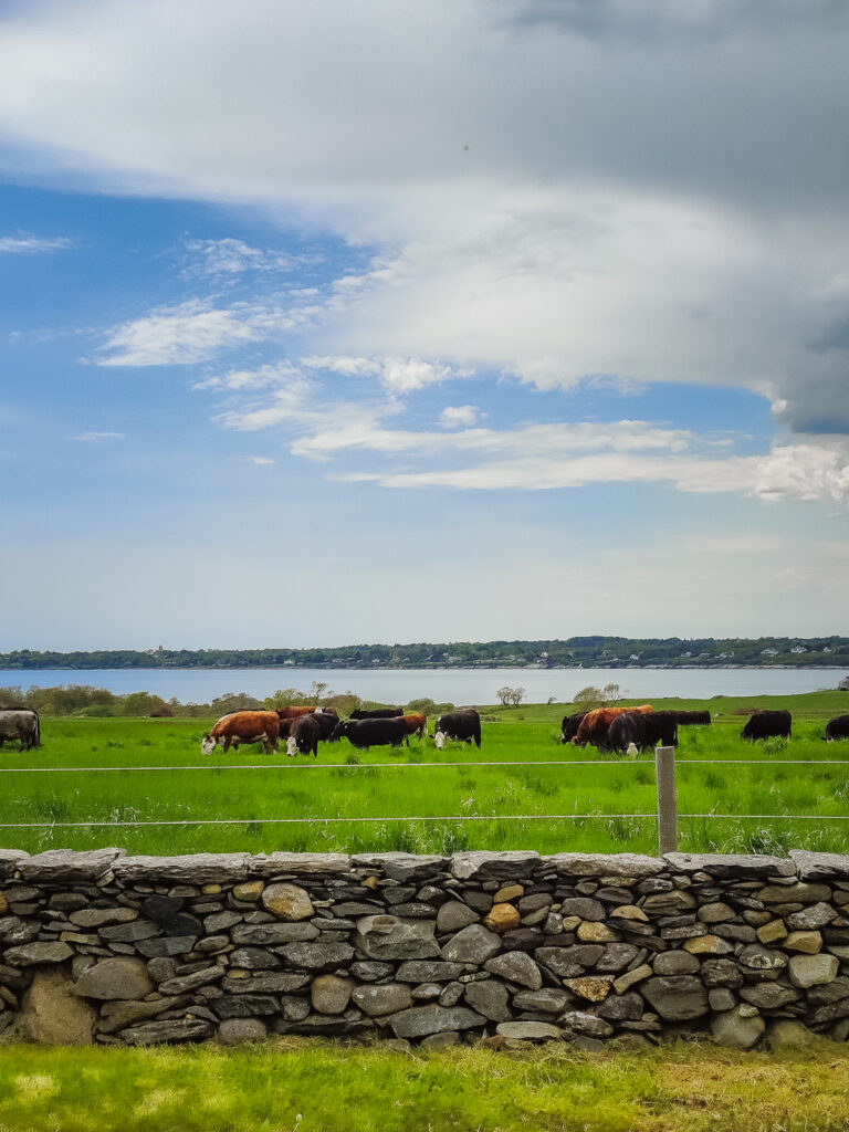 A Weekend in Rhode Island: Newport & Farm Coast Guide