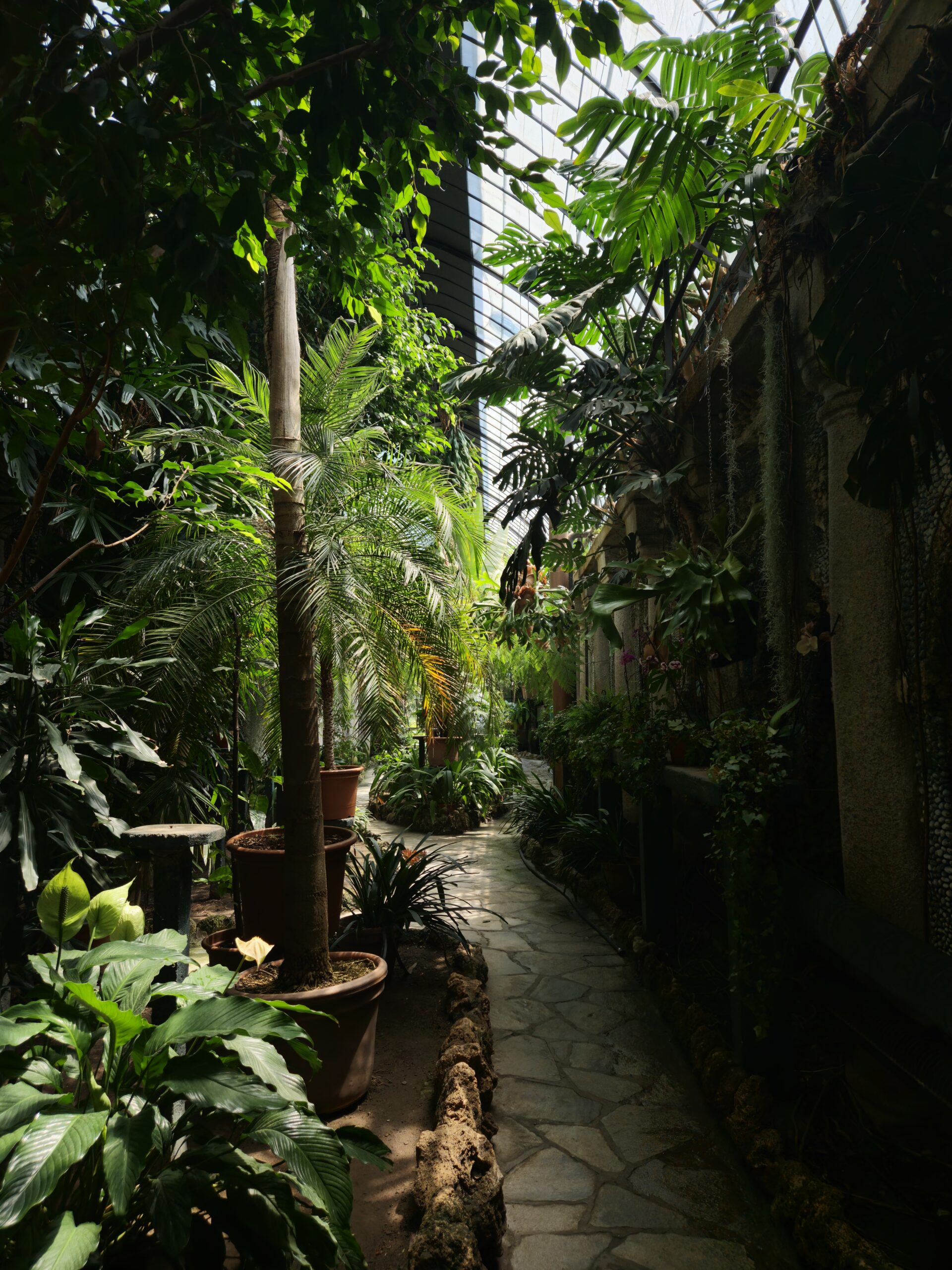 Isola Bella Lago Maggiore palazzo borromeo greenhouse gardens giardini Isola Bella Lago Maggiore palazzo borromeo greenhouse gardens giardini