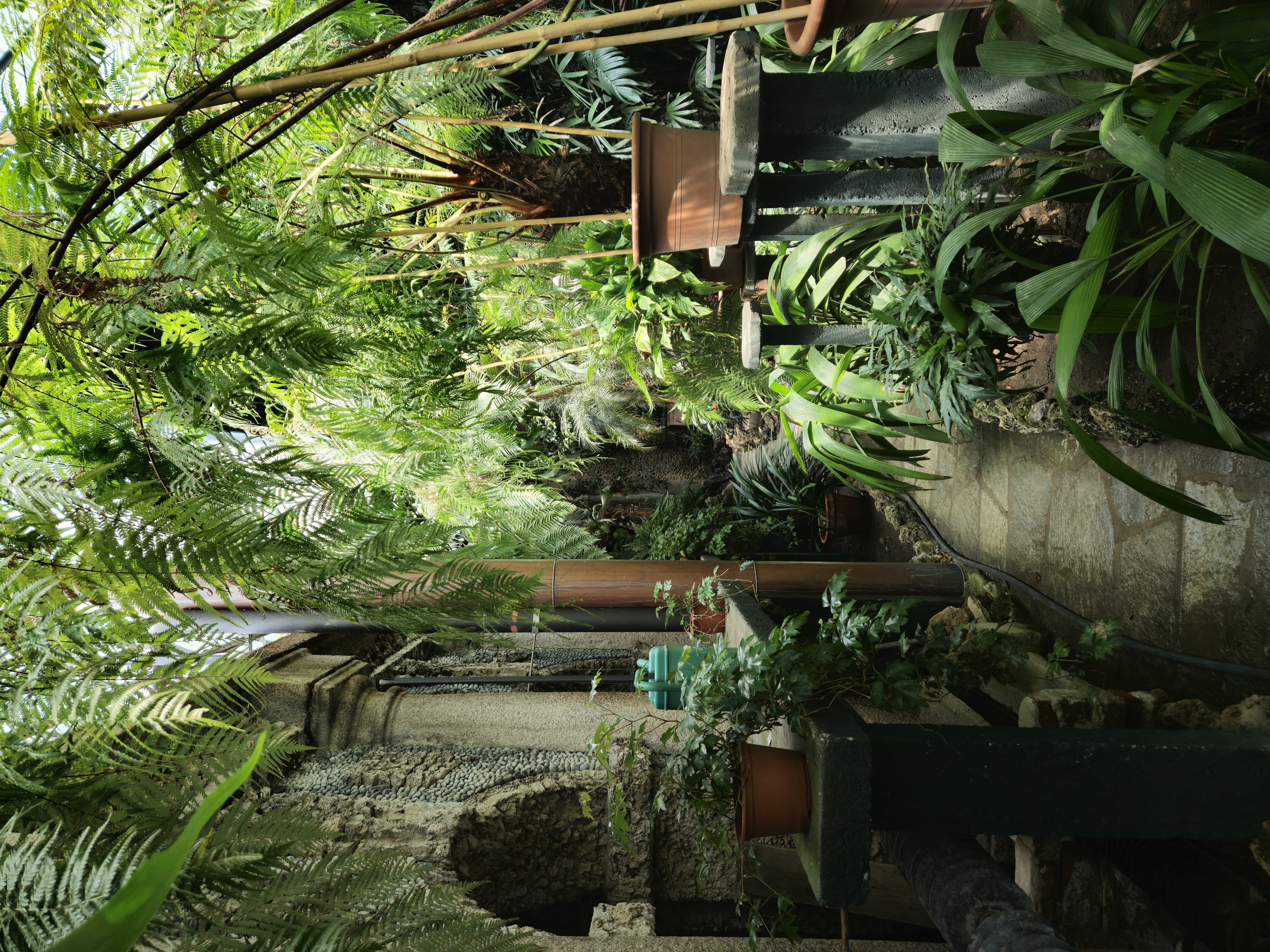 Isola Bella Lago Maggiore palazzo borromeo greenhouse gardens giardini Isola Bella Lago Maggiore palazzo borromeo greenhouse gardens giardini