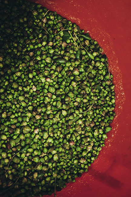 Pollara, Salina, Sicily: Top Things to Do, See, and Experience svadore capperi caper tour