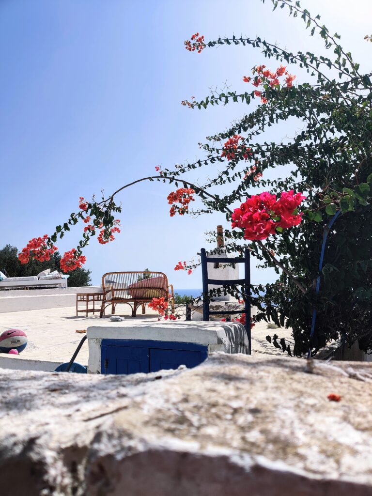 What to Do in Panarea, Sicily: A 2 Day Itinerary