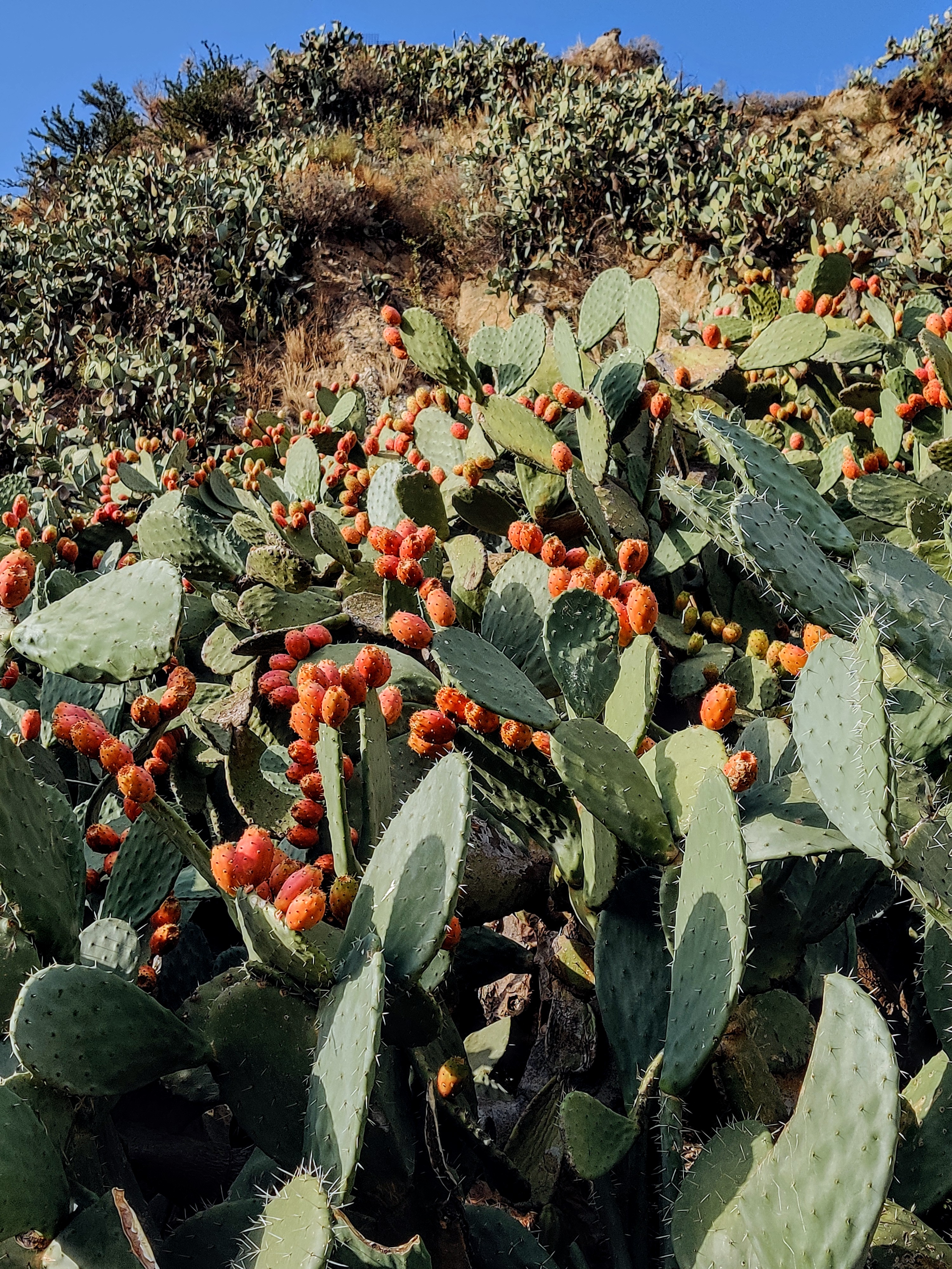 Why Savoca, Sicily Was Named One of the Most Beautiful Villages in Italy