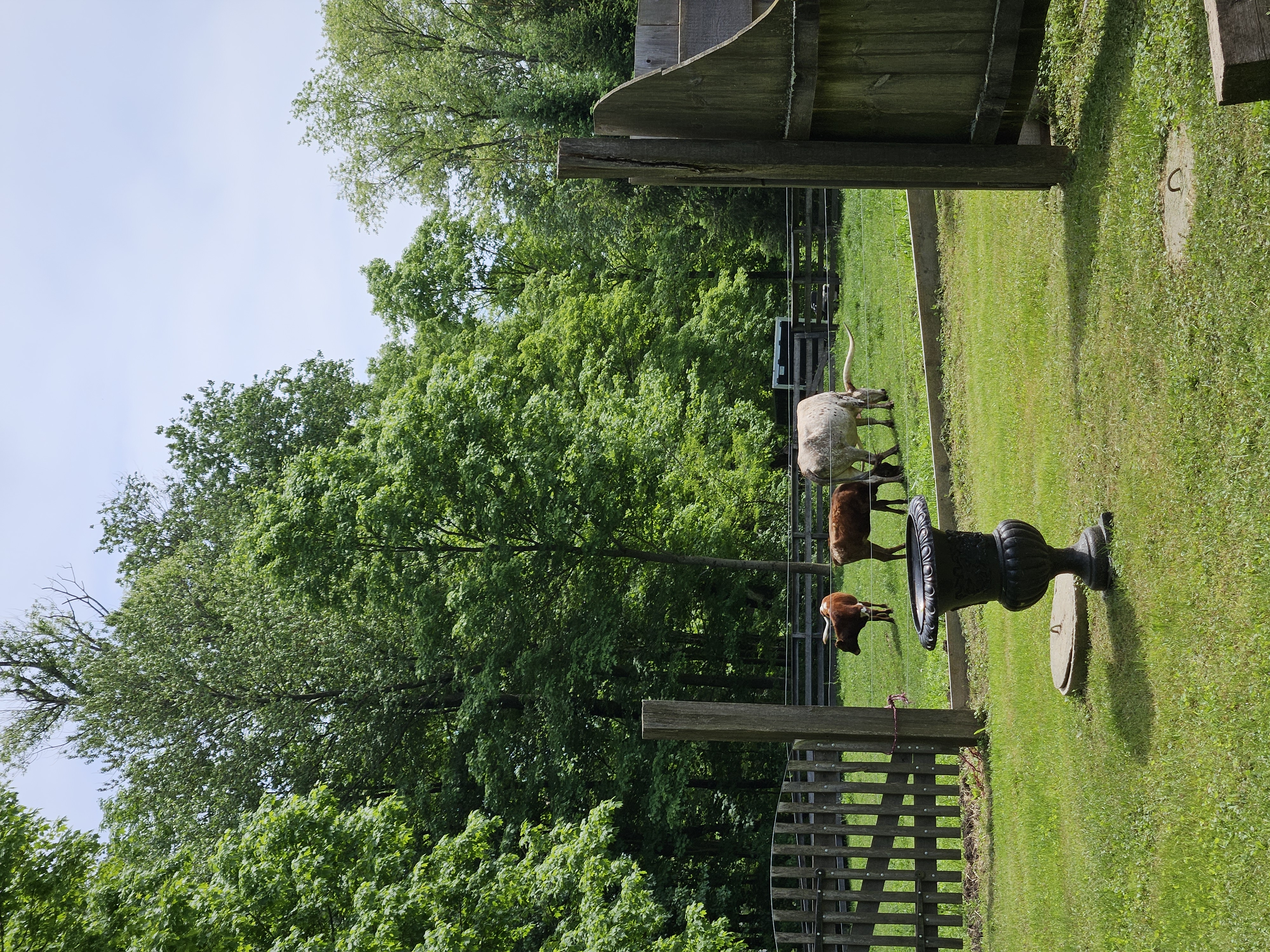 Thorncrest Farm: Chocolate, Cows & a Return to Simpler Times