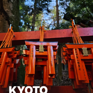 Kyoto in 3 Days: A First-Timer's Guide to Icons & Local Gems